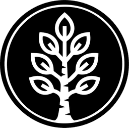 White Birch Ventures