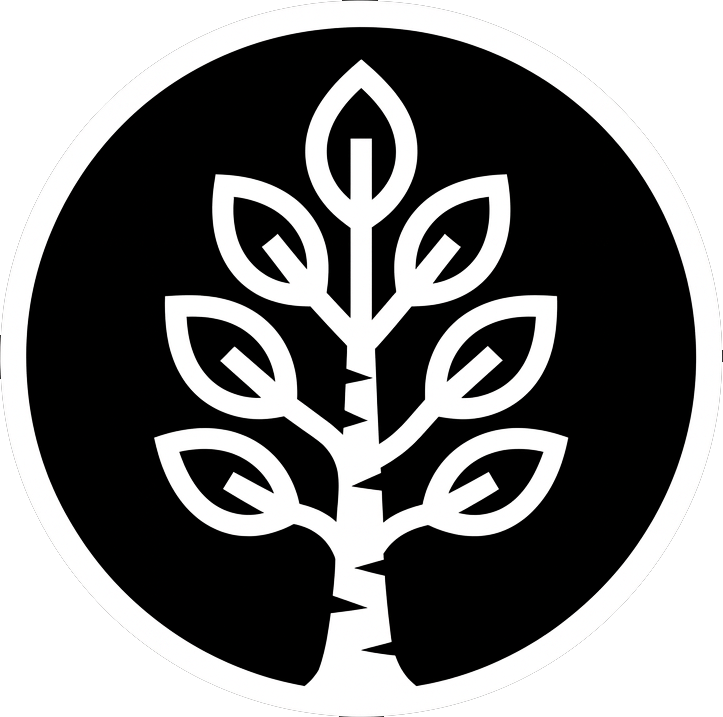 White Birch Ventures LLC